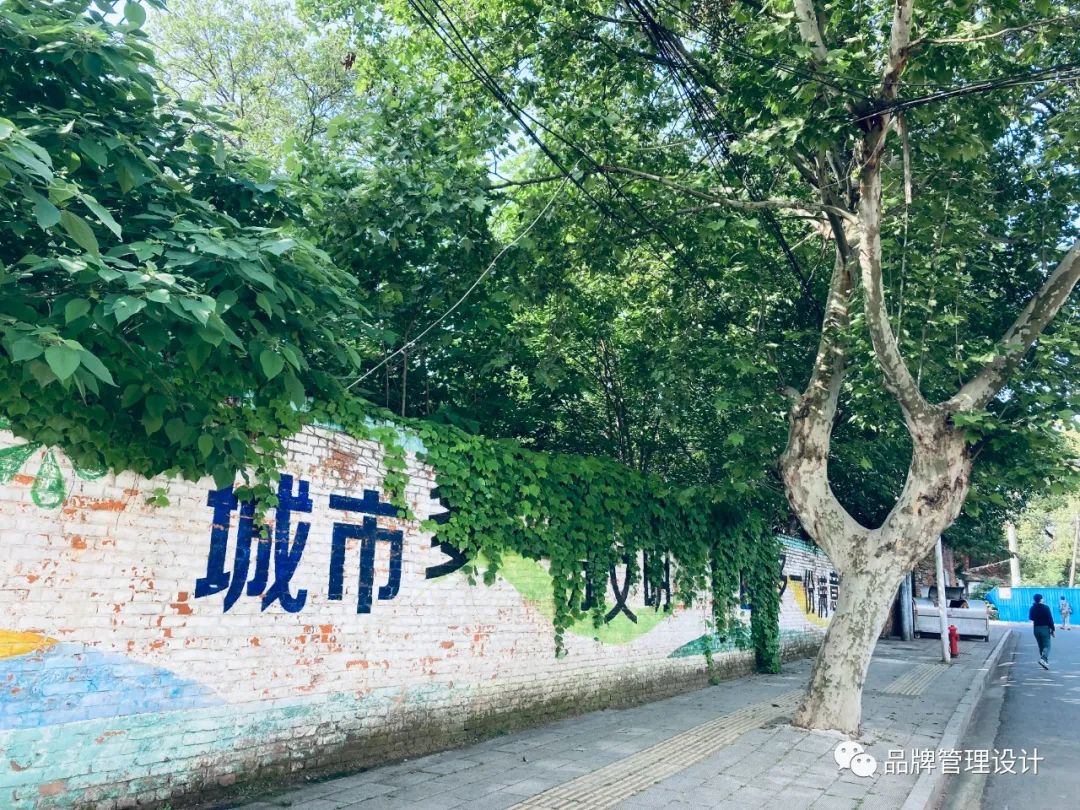 1683613118183397.jpg w3.jpg