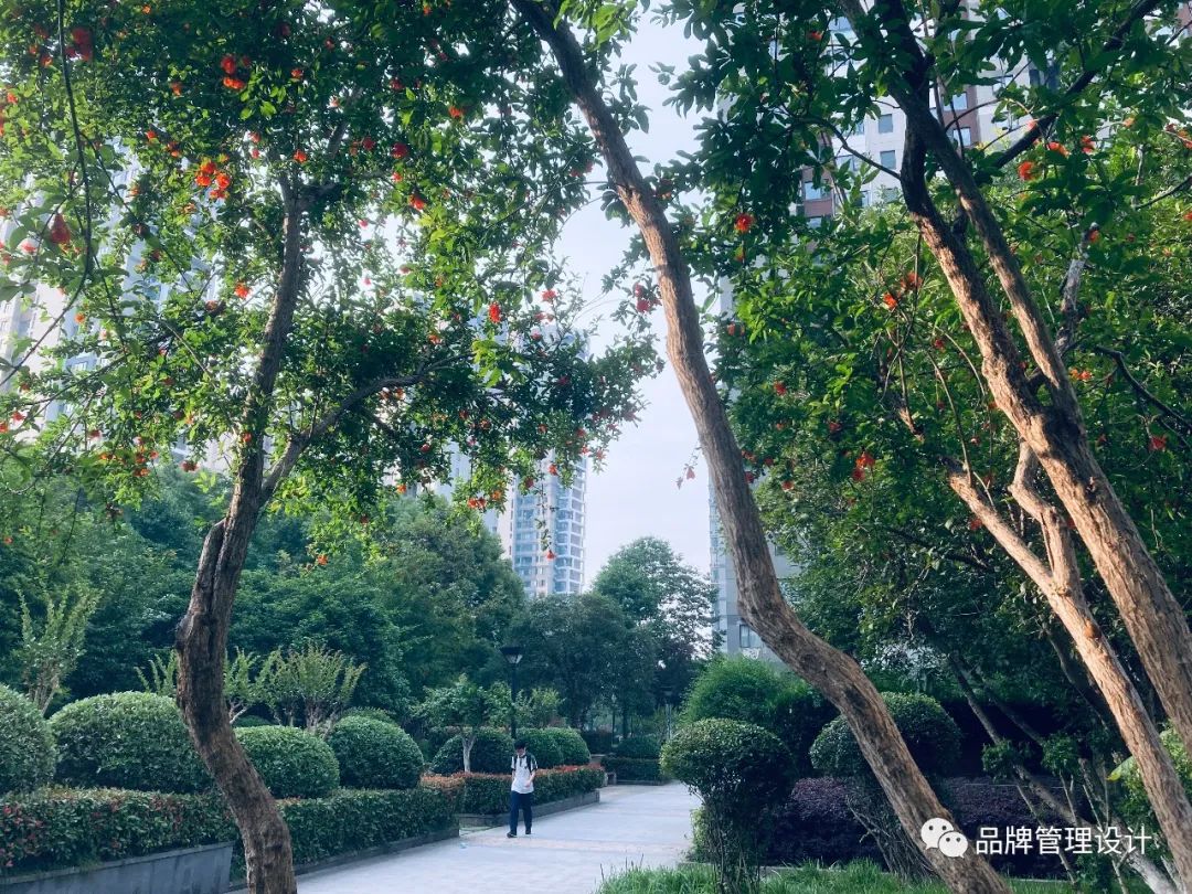 1685429262901596.jpg q6.jpg