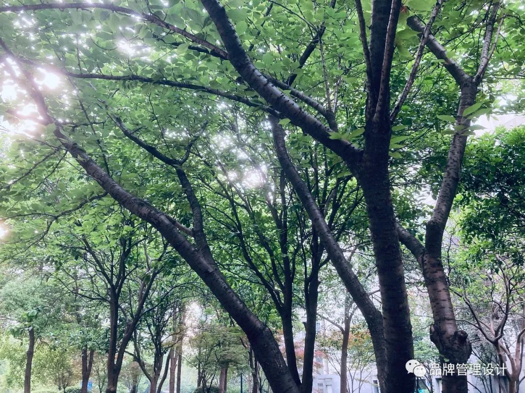 1685429305341215.jpg q7.jpg