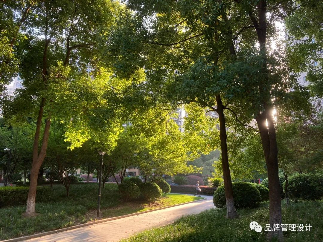 1690787657154617.jpg 010.jpg