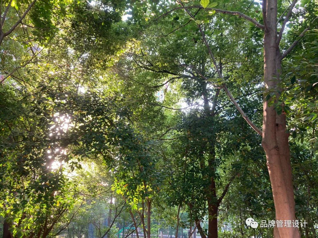 1690787680809222.jpg 011.jpg